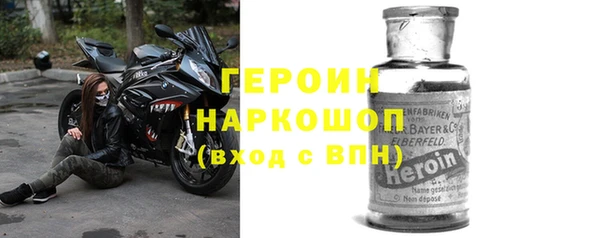 прущие грибы Белокуриха