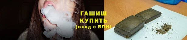 прущие грибы Белокуриха