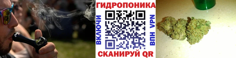 купить наркоту  Шагонар  omg   Каннабис план 